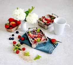 Cristel Mini Braadslede 12 X 10 Cm Rvs -Boetiekwinkel voor keukengerei 4 md clafoutisminiplat