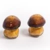 Oldenhof Peper- En Zoutstel Paddenstoelen Bruin