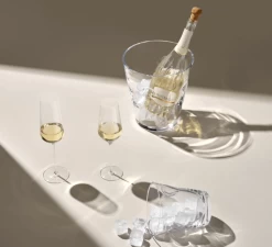 Nude Stem Zero Champagneglas 300 Ml -Boetiekwinkel voor keukengerei zero champagne 3