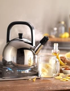 Zwilling Plus Fluitketel Rond 1,6 Liter Rvs -Boetiekwinkel voor keukengerei zwilling plus fluitketel rond 1 5 liter rvs